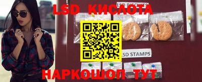 прущие грибы Шебекино