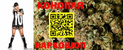 тгк Шелехов