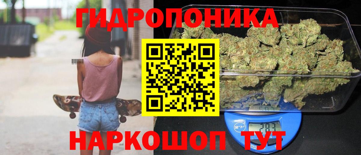 Шишки марихуана планчик Мытищи