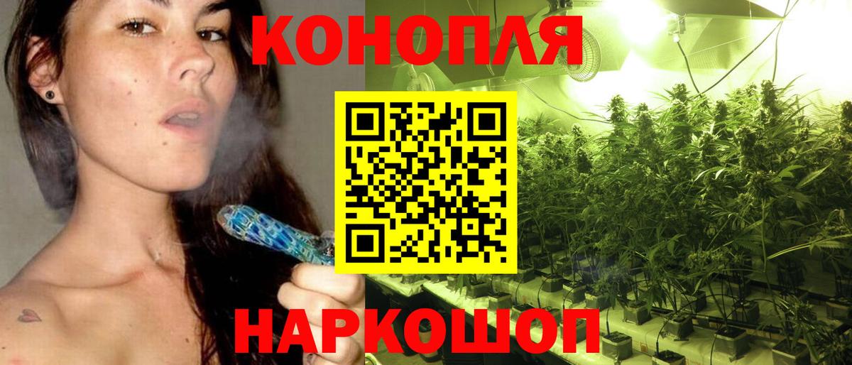 Конопля индика  Бошки Шишки SATIVA & INDICA  Вход с VPN  Мытищи  МАРИХУАНА гибрид 